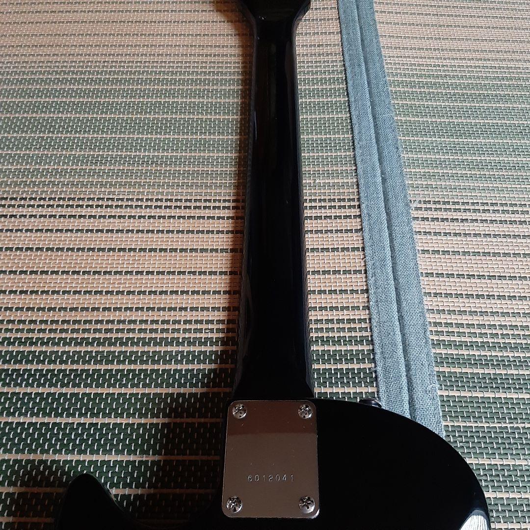 ESP グラスルーツ GrassRoots レスポール ソフトケース、オマケ付き