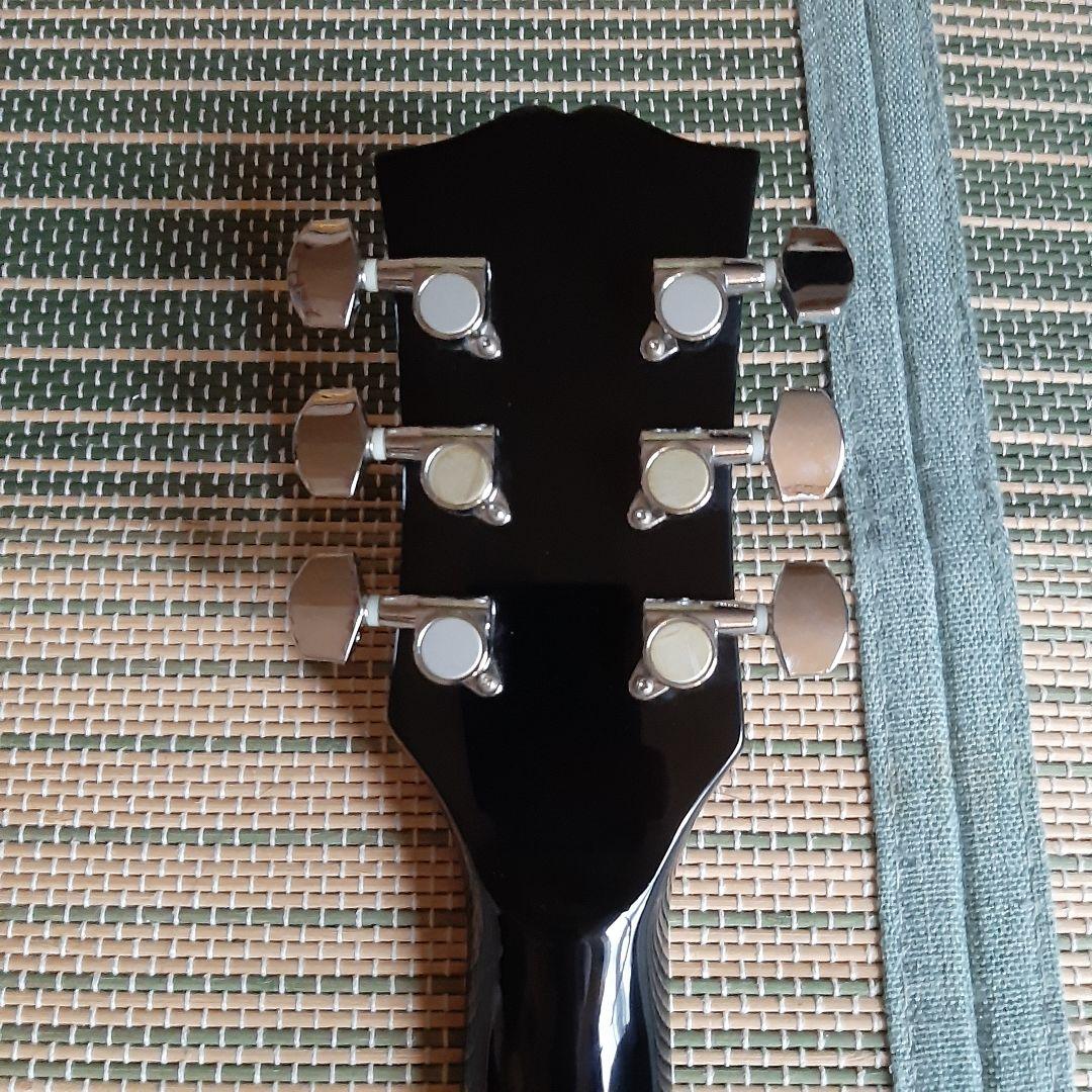 ESP グラスルーツ GrassRoots レスポール ソフトケース、オマケ付き