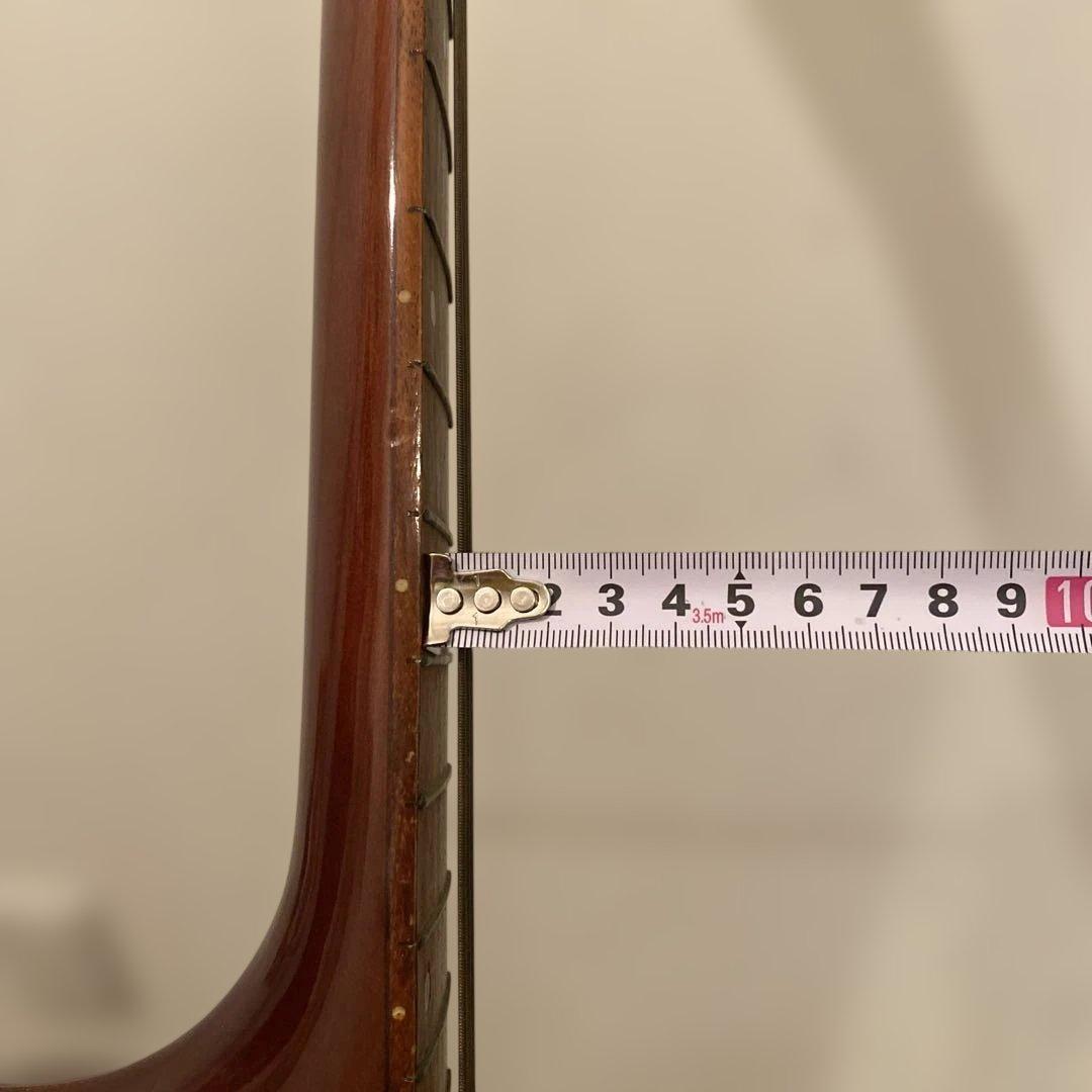 【送料無料】Pro Martin アコースティックギター　W-130