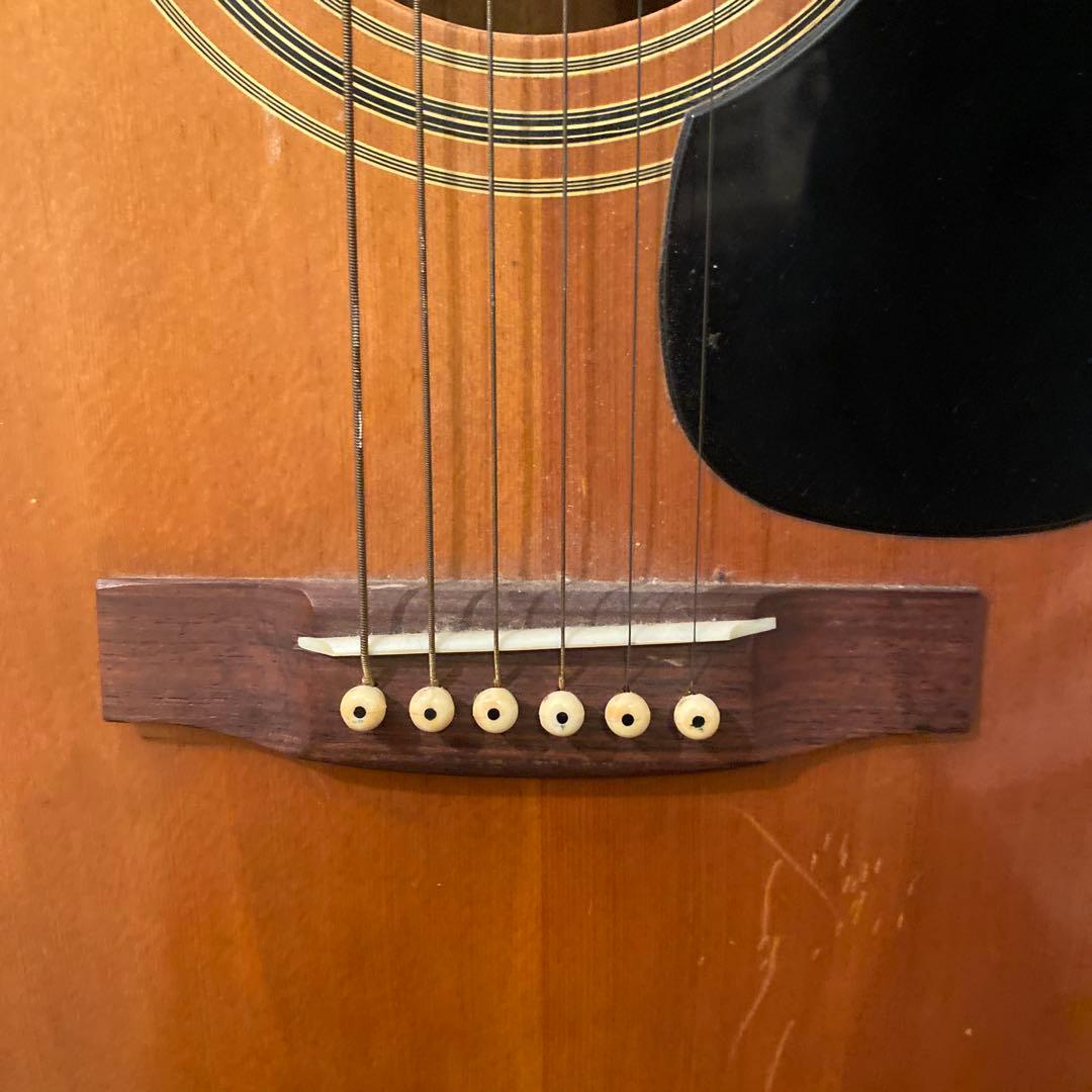 【送料無料】Pro Martin アコースティックギター　W-130