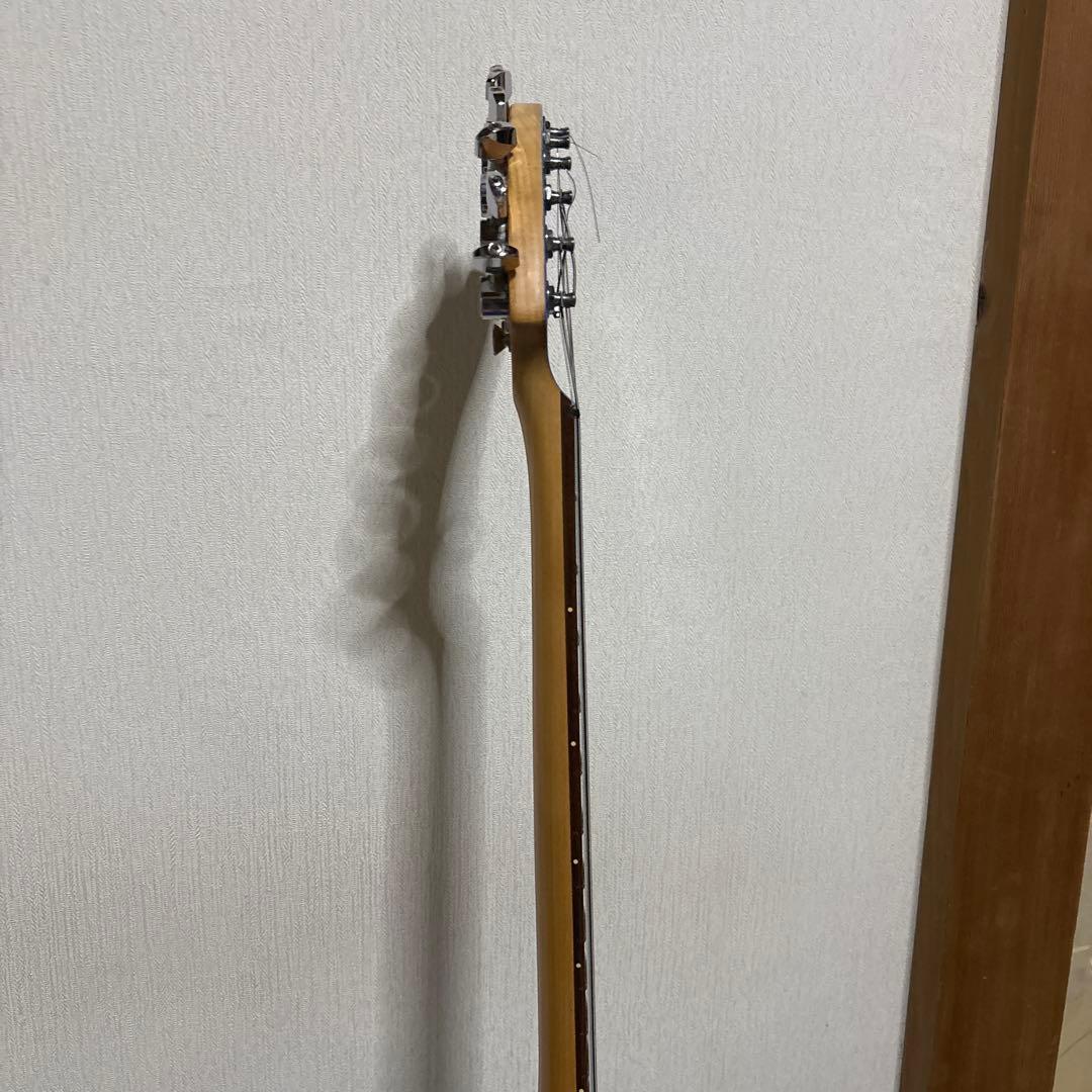 FERNANDES フェルナンデス ZO-3 エレキギター ソフトケース 楽器