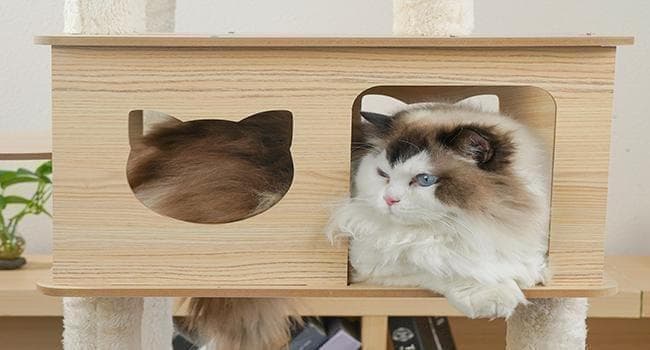 キャットタワー 木製 スリム 多頭飼い 据え置き 宇宙船 nkz06省スペース