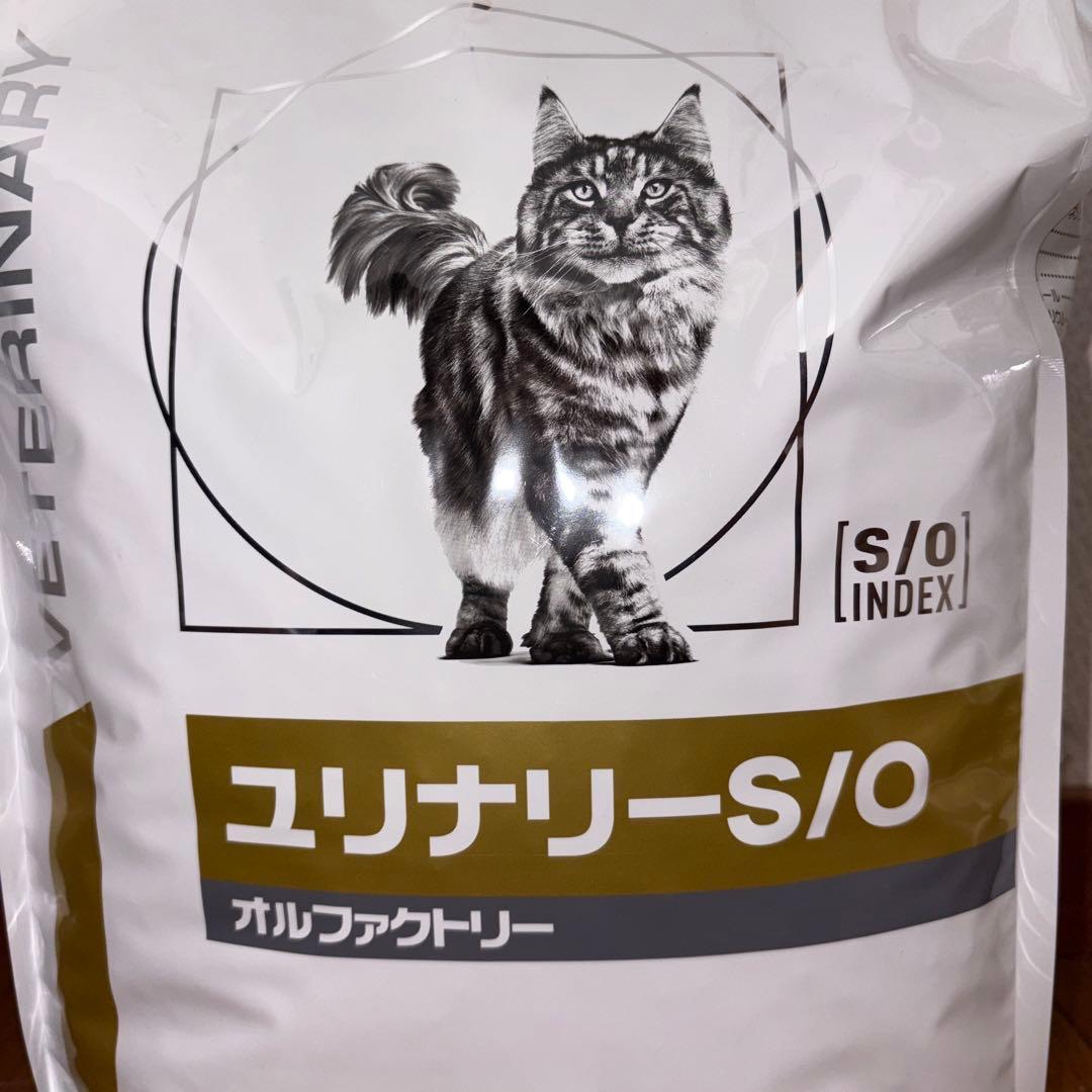 ※訳あり賞味期限 ロイヤルカナン ユリナリーS/O オルファクトリー 4㎏ 1袋