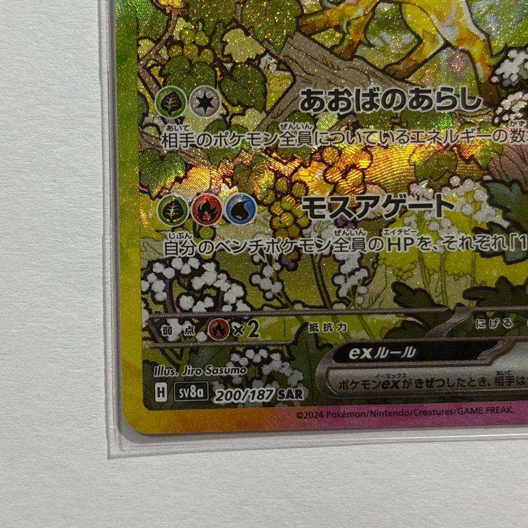 テラスタルフェスex ブイズ まとめ売り