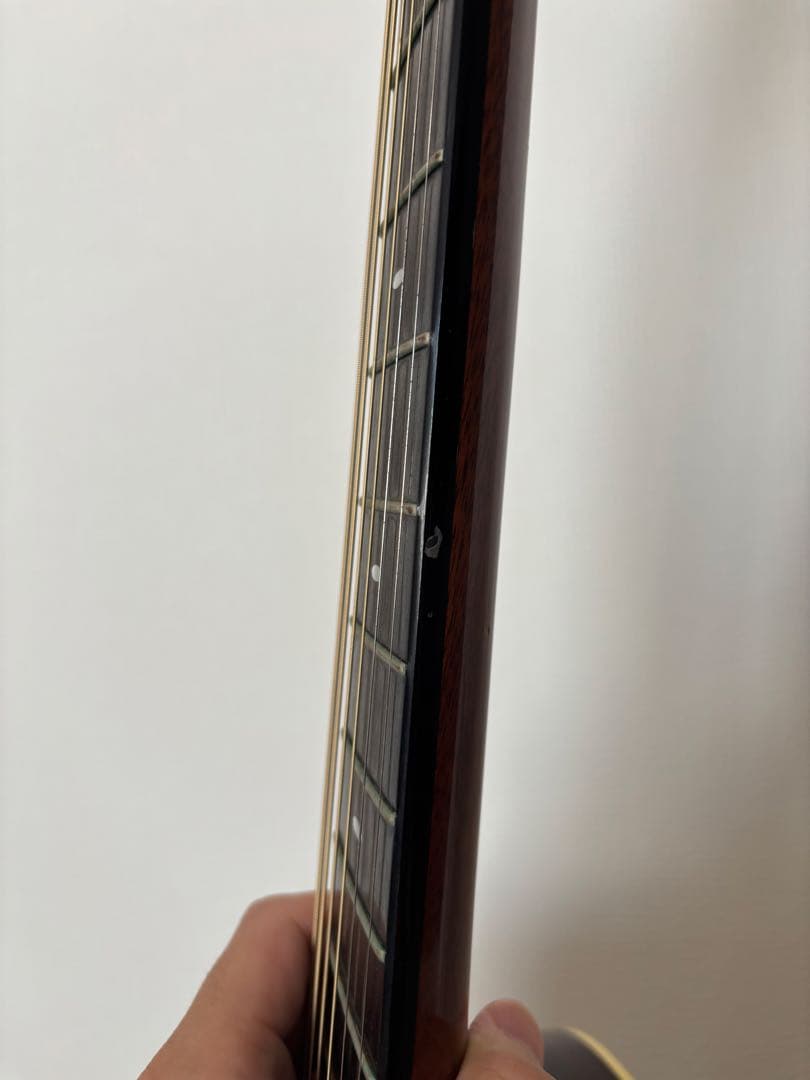 【値下げ】Switch D-70C（純正ギグバッグ付き）美品