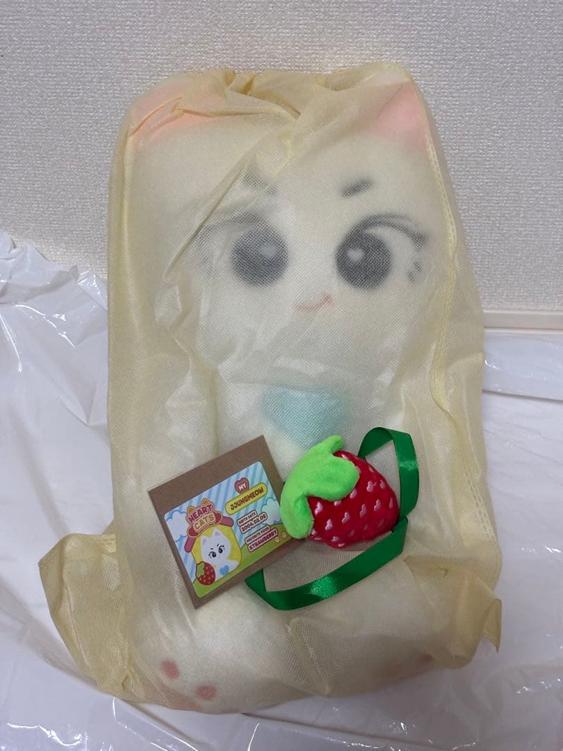 enhypen ジョンウォン 45cm マスターぬいぐるみ