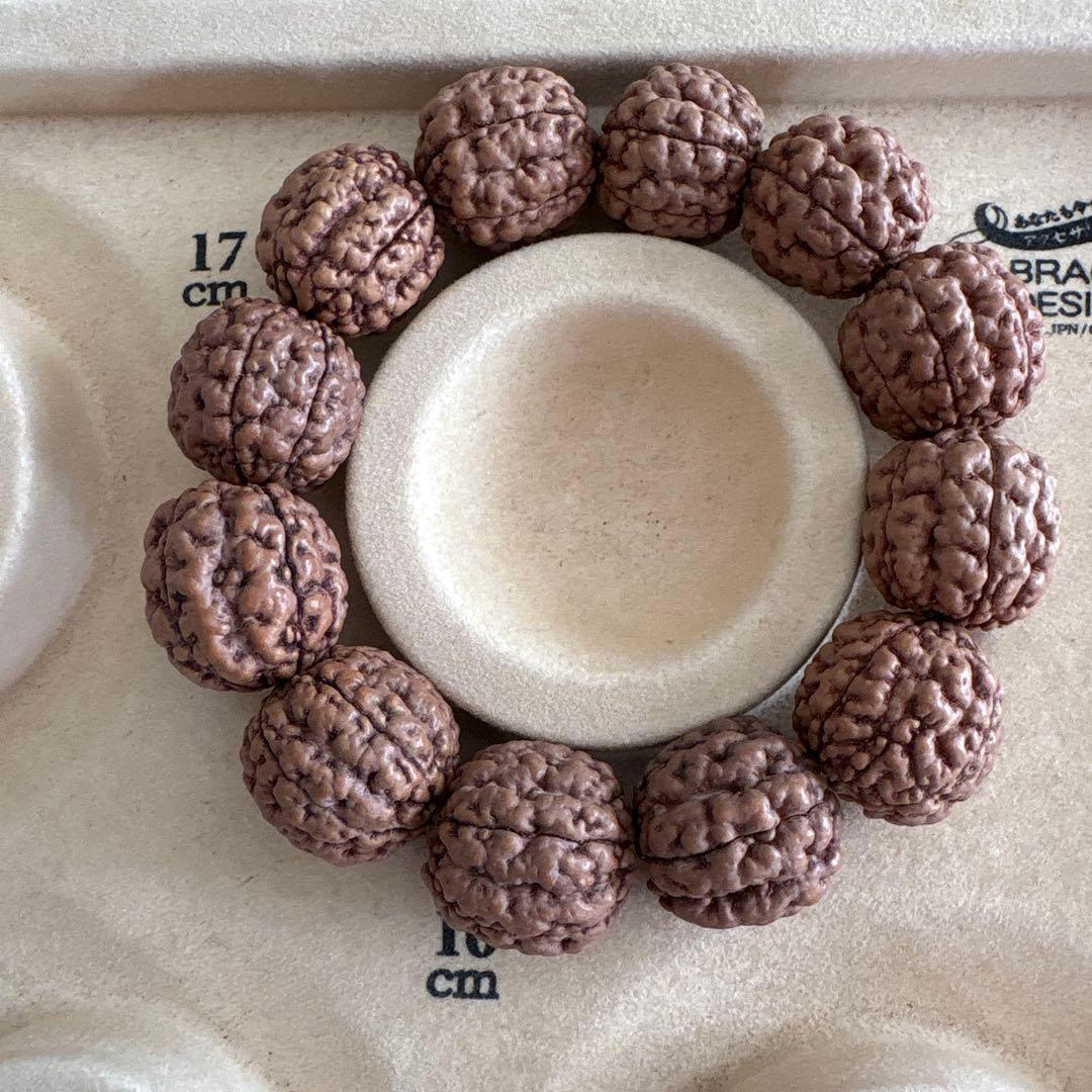 コッコブライド　ルドラクシャシナールブレスレット