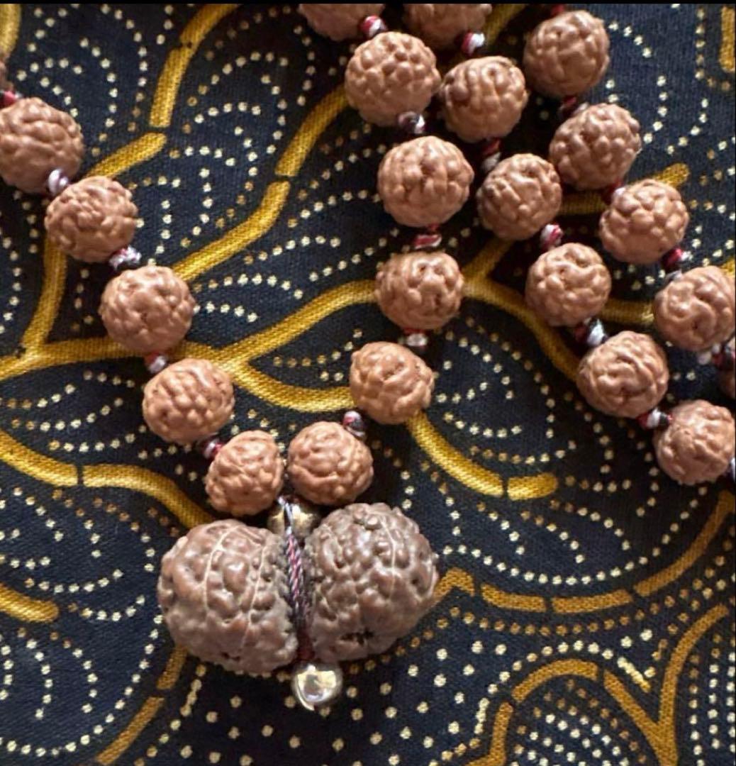 コッコブライド　ルドラクシャシナールブレスレット