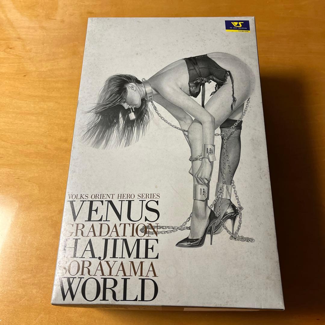 VENUS GRADATION HAJIME SORAYAMA WORLD空山基