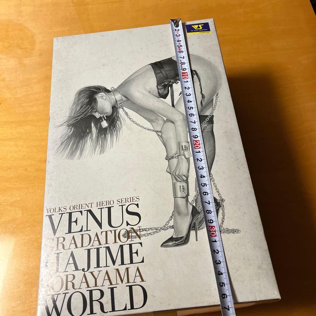 VENUS GRADATION HAJIME SORAYAMA WORLD空山基