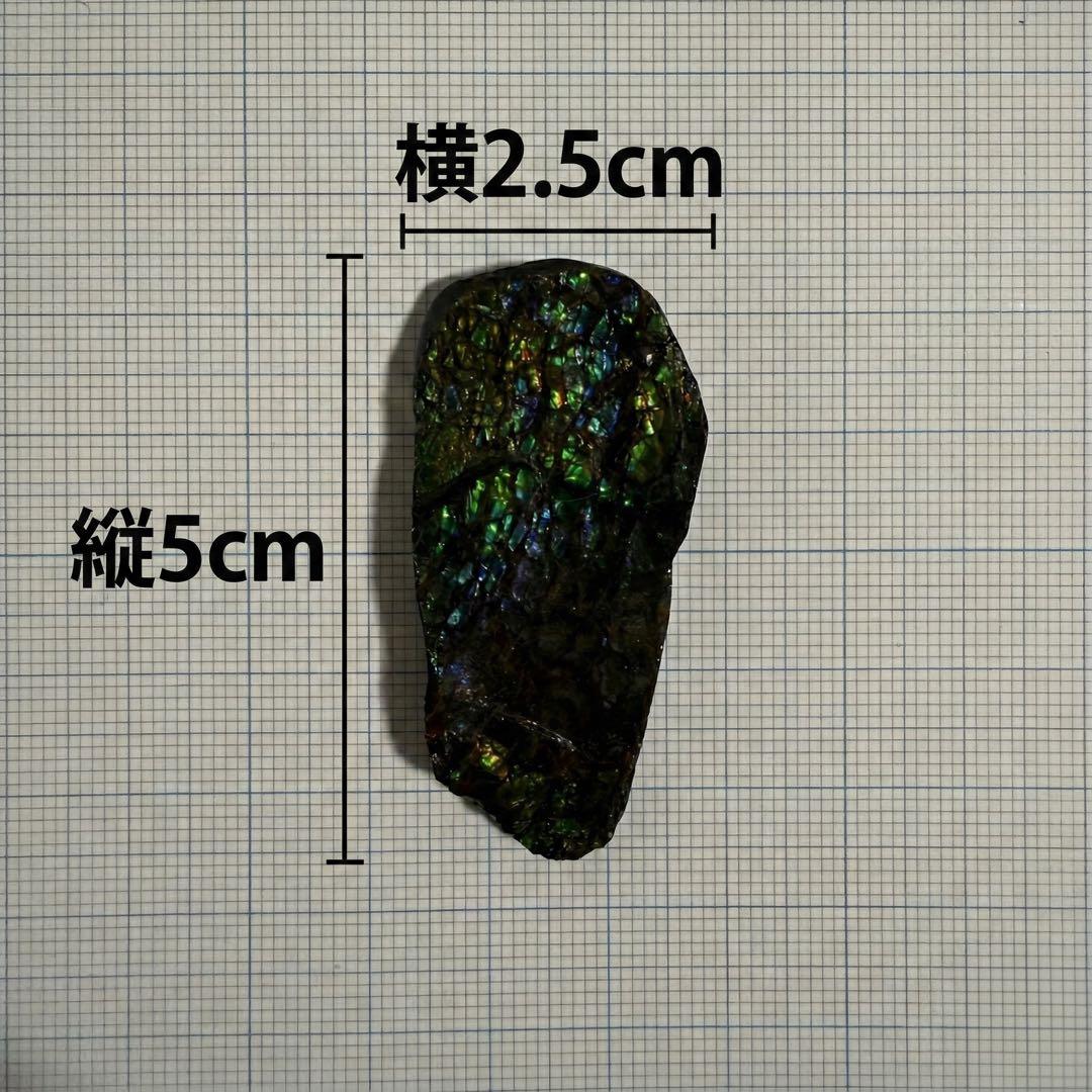 【美遊色】アンモライト 原石 15g アンモナイト化石 標本 コレクション