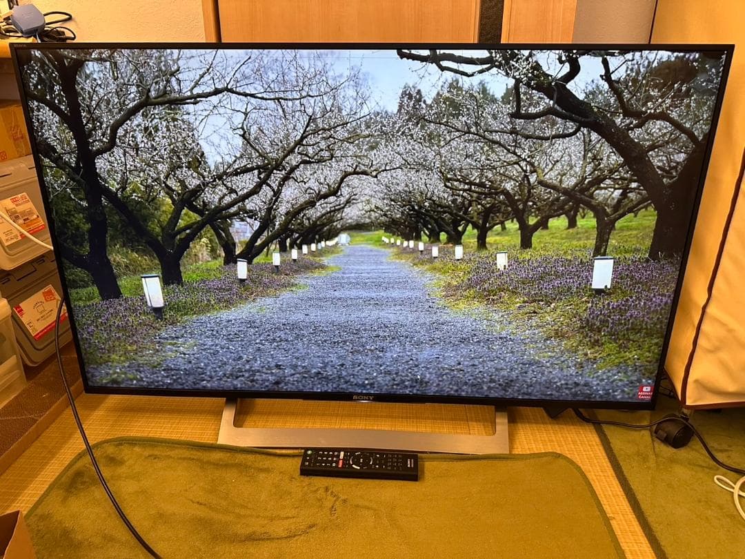 スマートテレビ　4K対応！SONY ソニー　KJ-49X8300D　少々訳が美品