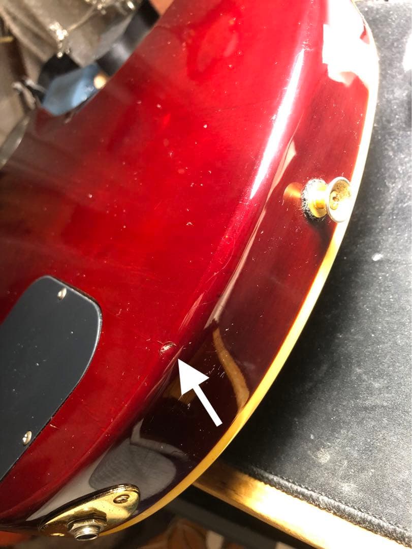 【ハチワレ猫さま専用】AriaProⅡ PE-DLX