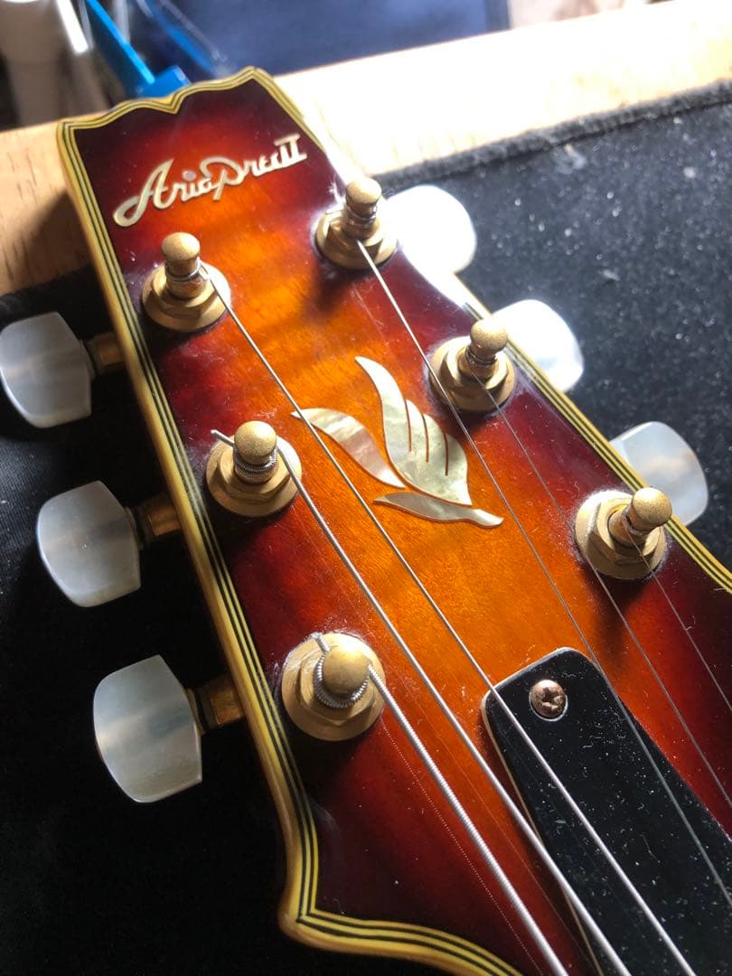 【ハチワレ猫さま専用】AriaProⅡ PE-DLX