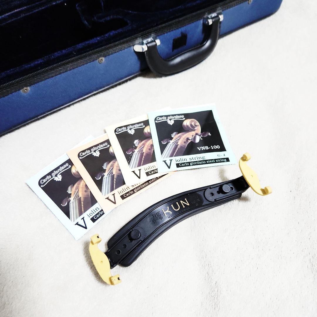 Carlogiordano VS-F1 3/4 カルロジョルダーノ バイオリン