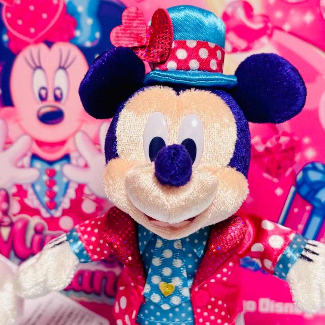 【匿名配送】　ミニーのファンダーランド　ぬいぐるみバッジ　ミッキー　ミニー