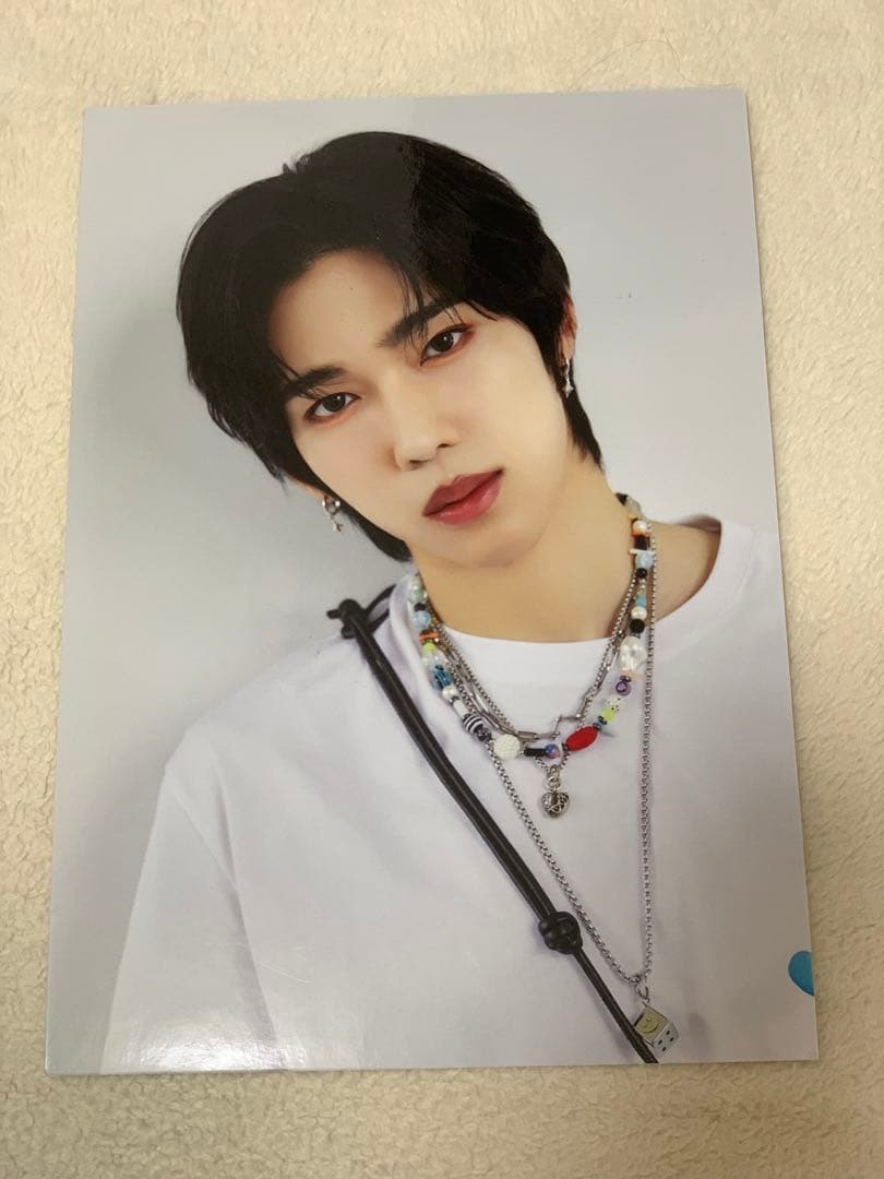 LUN8 カエル 카엘 evergreenパネル