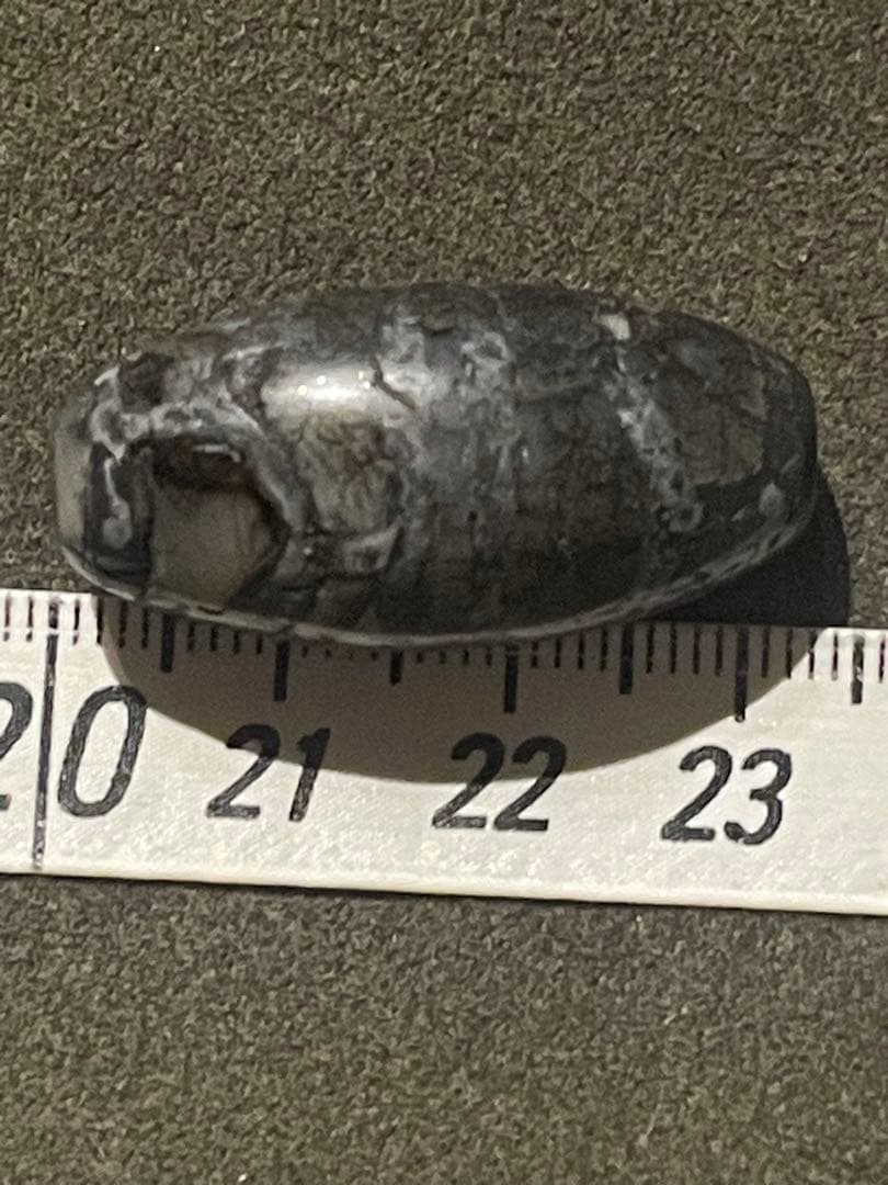 出土　双亀甲天珠