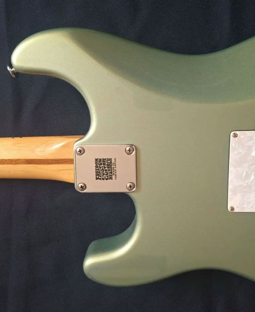 Fender Mexico スタンダード ストラト　D.Allen PU