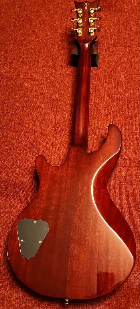 DBZ GUITARS INFINITY MONDIAL 富士弦 RED