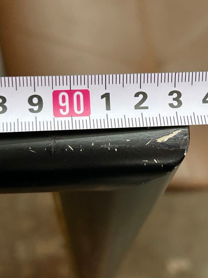 チャンプー　張歩　リトグラフ　中国人画家・張歩「冬」61/￼200