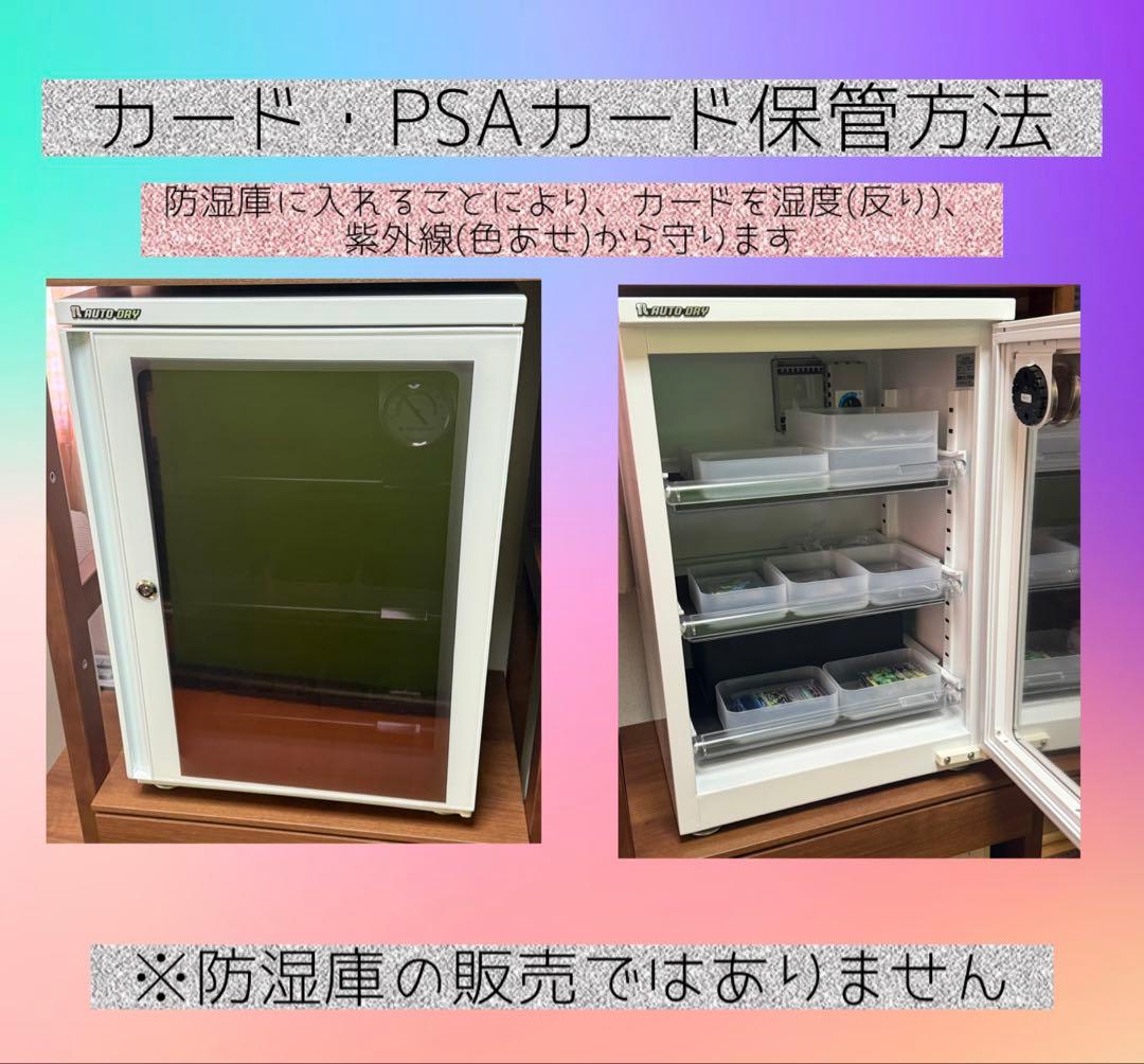 【PSA10】リーリエの決心 SAR (防湿庫管理)…171