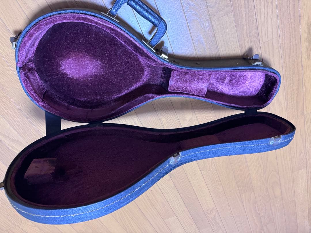 Gibson Mandolin A-5L 1989年