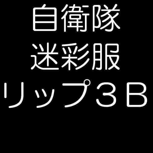 陸上自衛隊 リップストップ 迷彩服 ３Ｂ　リップ6