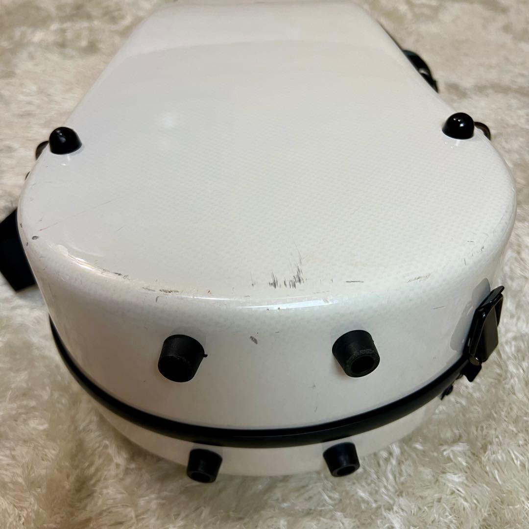 HORA Reghin ヴァイオリン 4/4 バイオリ Carbon Mac