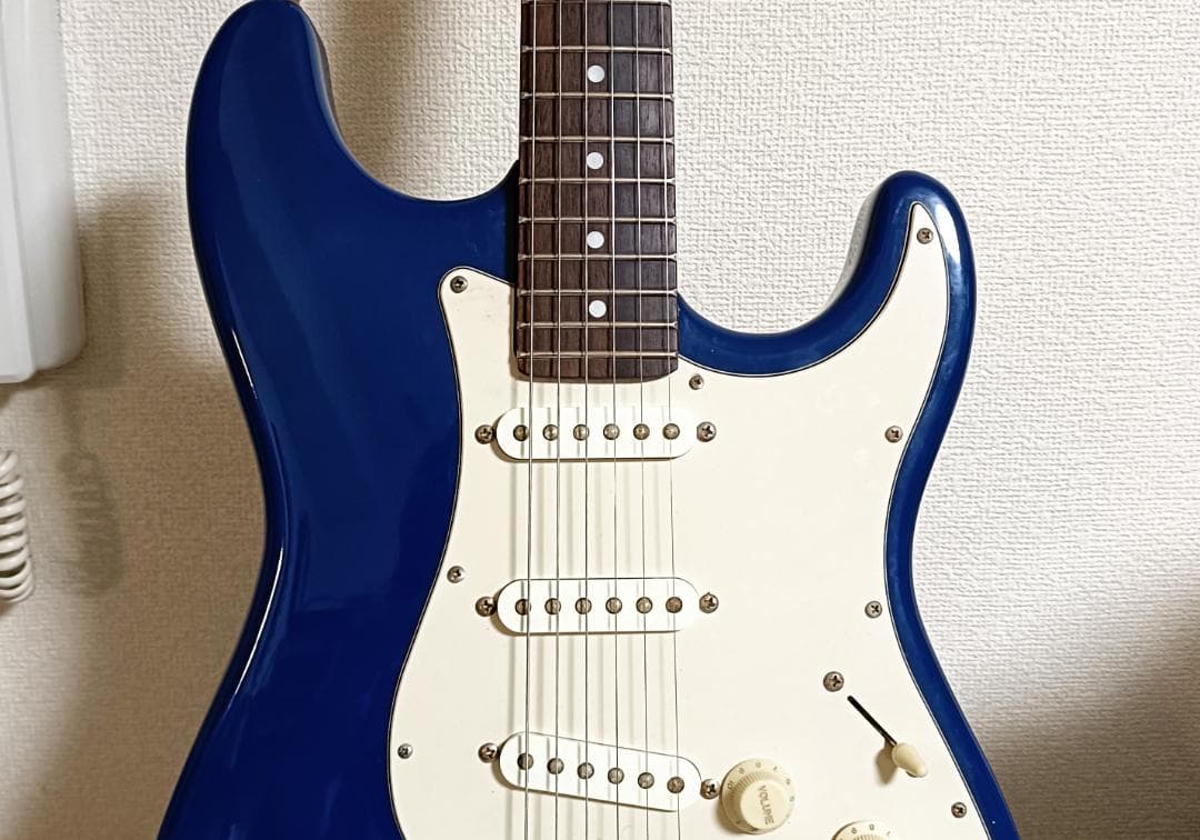 【送料無料】ストラトタイプ（ペグ新品）