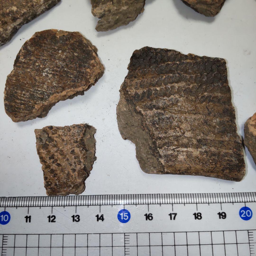 ★本物の縄文土器★(新潟県出土)①、15点