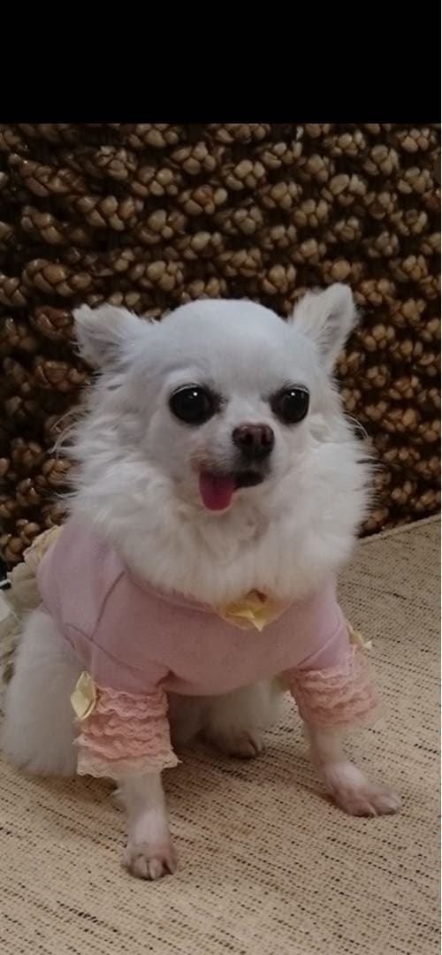 ピクニクK18金ハーフエタニティダイヤモンドリング0.3カラット