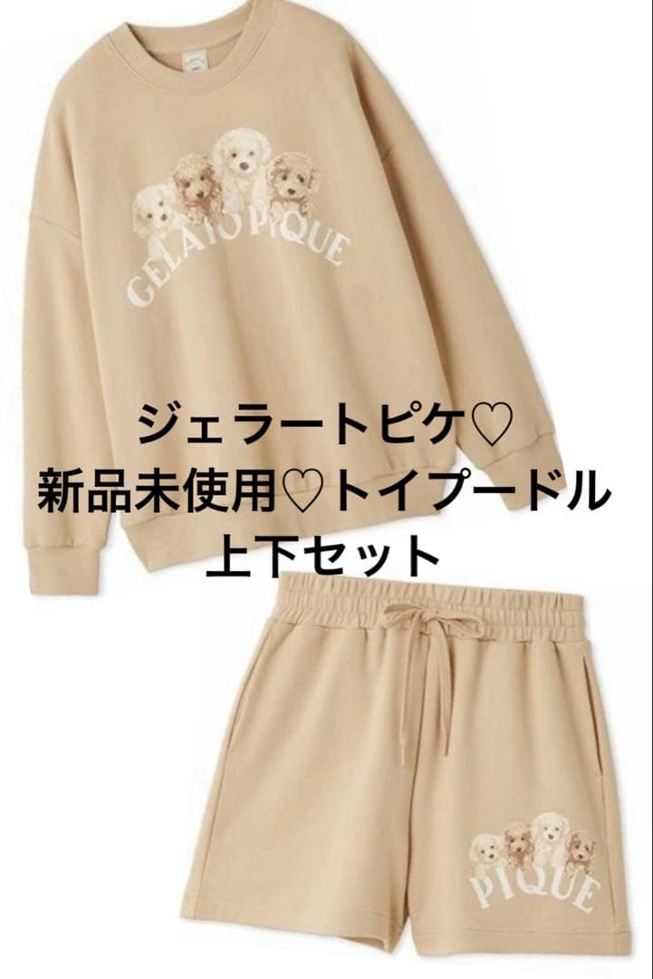 ジェラートピケ トイプードル 上下セット 新品未使用　裏毛　国内正規品