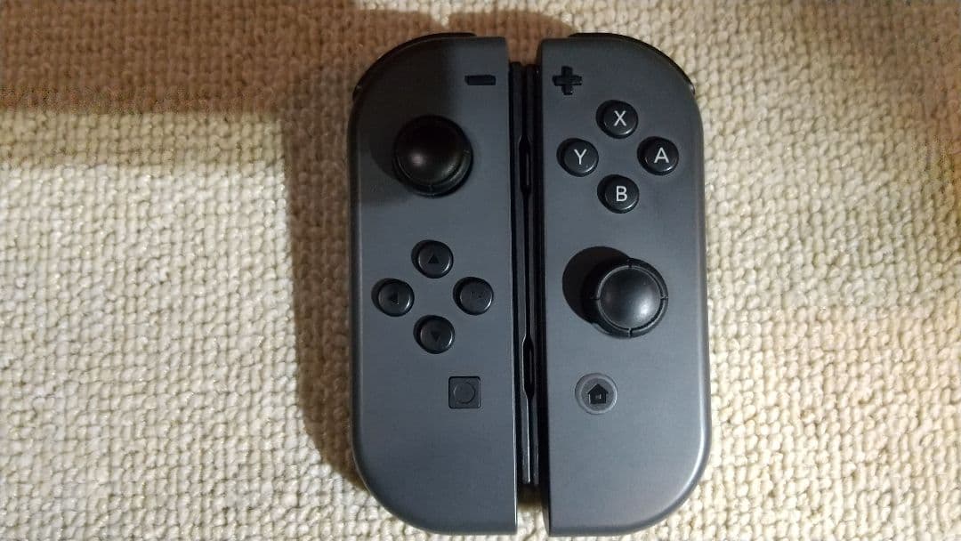 Nintendo Switch グレー ケース付き