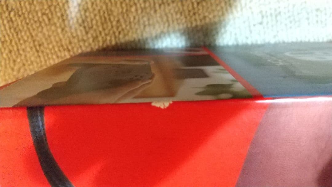 Nintendo Switch グレー ケース付き