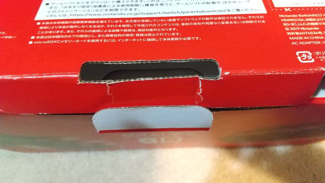 Nintendo Switch グレー ケース付き