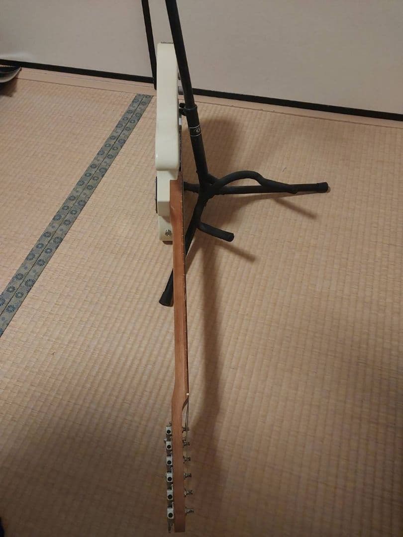 エレキギター Bacchus BTE-2-RSM/M OWH