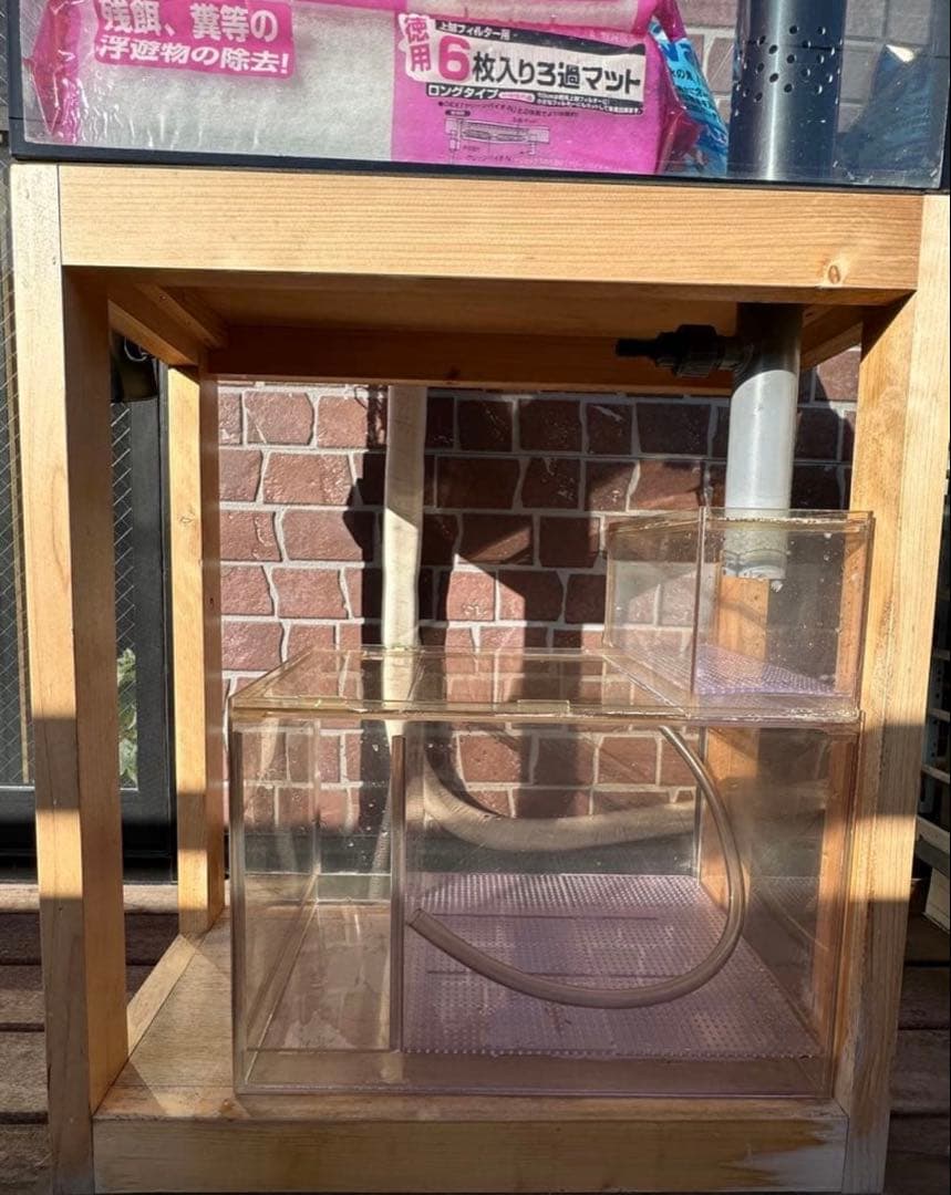 るいオーバーフロー水槽