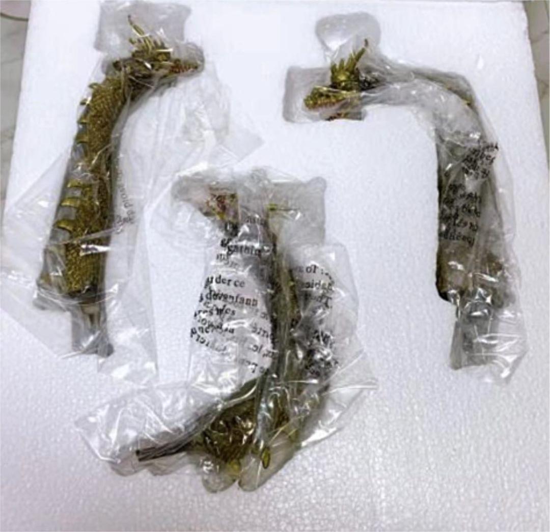 ユニファイブ 東宝怪獣シリーズ巨大リアルフィギュア キングギドラ