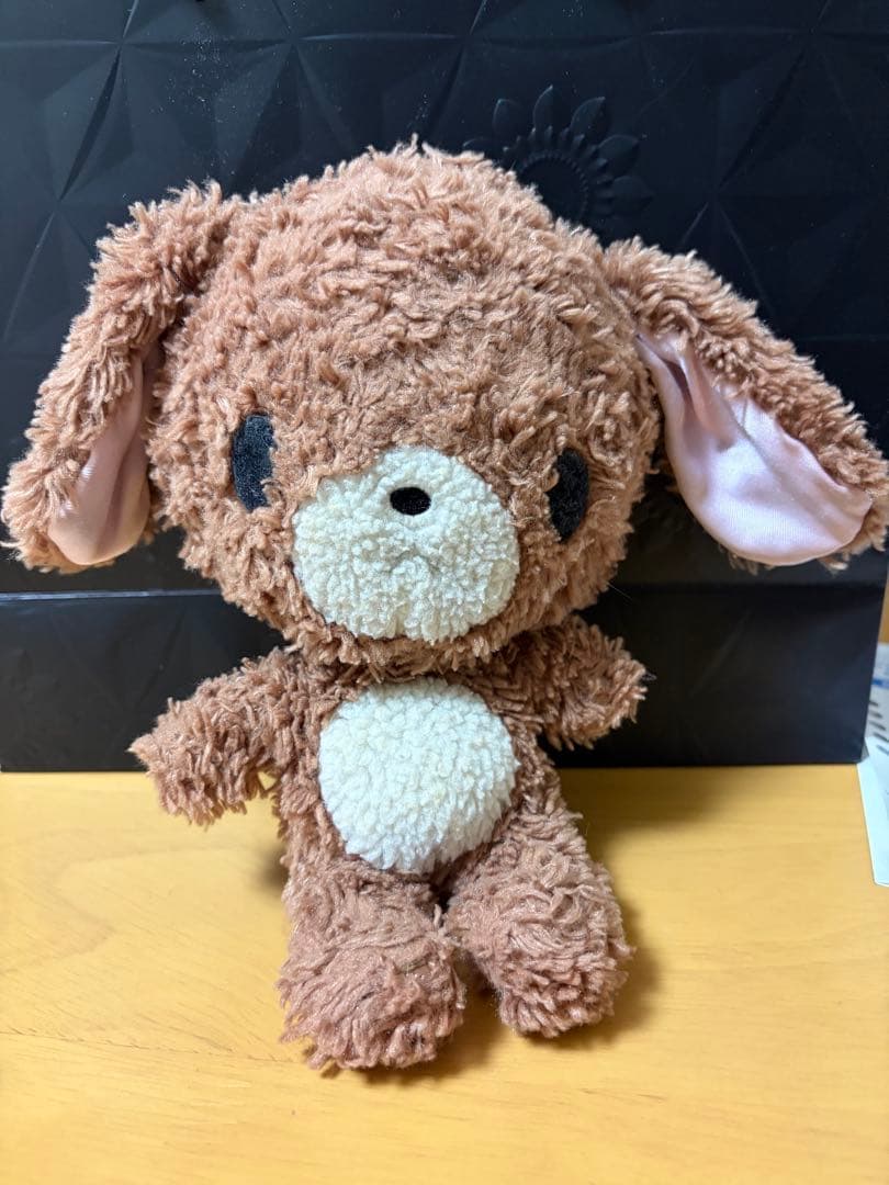 幼稚園の頃のシュガーバニーズ