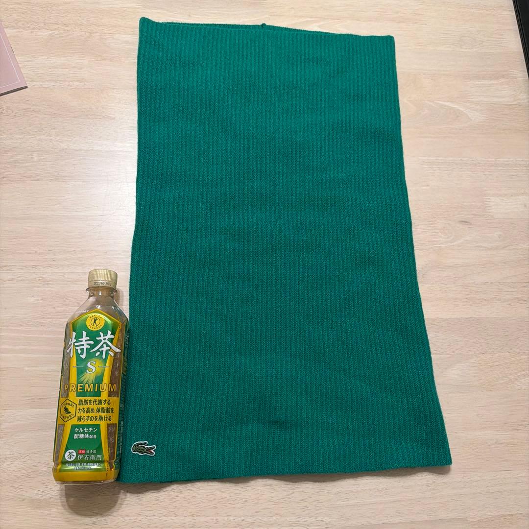 Lacoste ネックウォーマー スヌード カシミヤニットネックゲイター