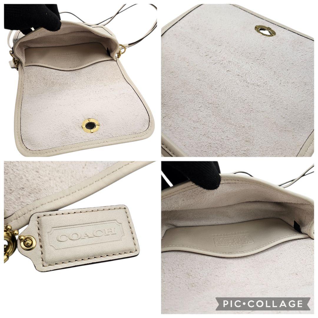 さくらにゃんこ