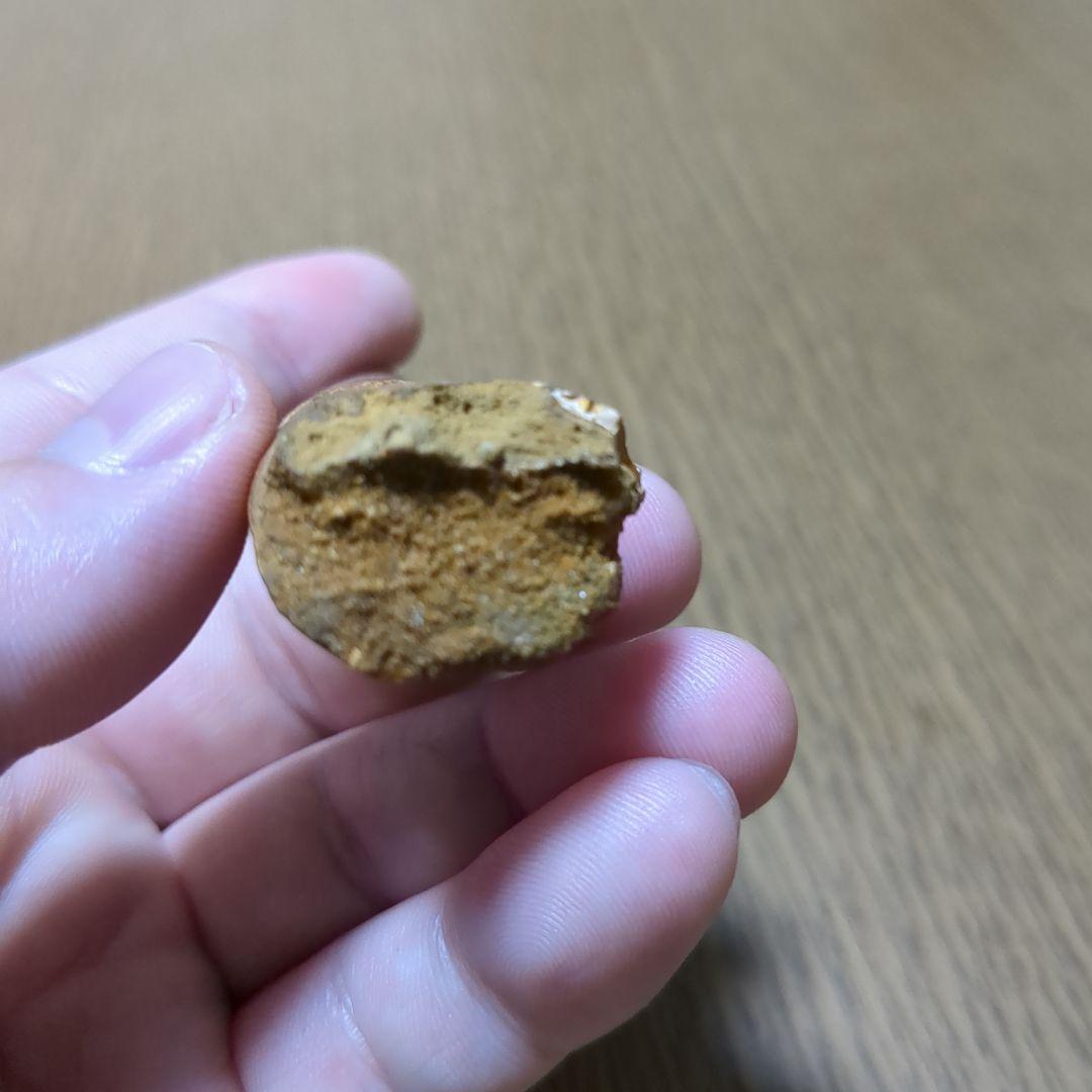 恐竜 化石 スピノサウルスの歯化石