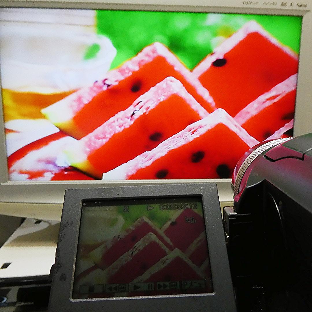 動作品 ソニーDCR-PC300 MiniDV ビデオカメラ DVDダビングに