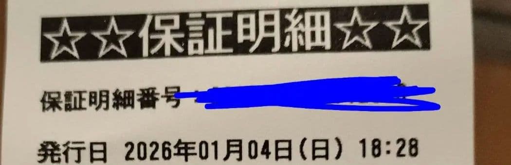 新品未開封 ダイニチ 石油ファンヒーター FW-E32S5