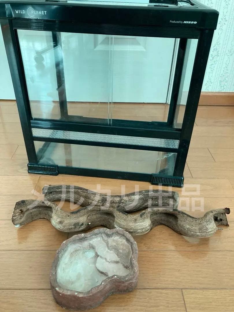 爬・両性類飼育ゲージ　NISSO WILD PLANET　⚠関東希望