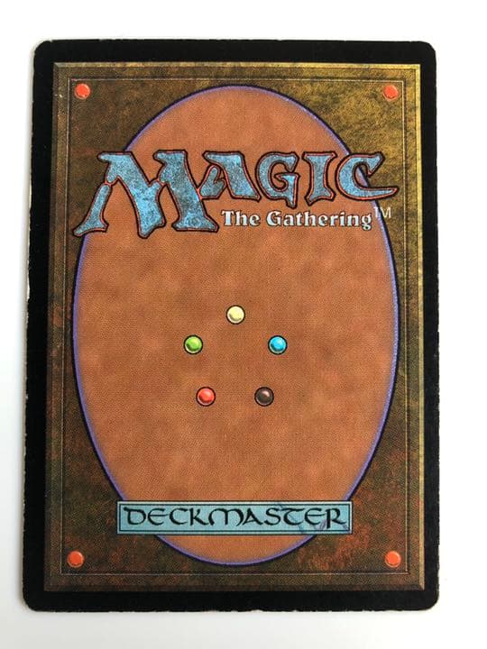 MTG 日本語　吸血の教示者 6ED 2枚