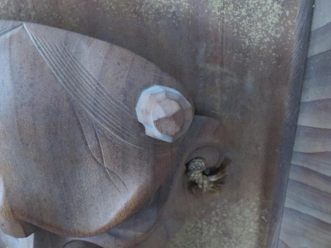 ★讃岐一刀彫　山中象堂作　木彫　般若面　魔除け　縁起物★神楽面・能面