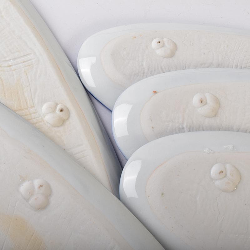 肥前有田焼　泉寿堂謹製　染錦　紅葉菖蒲文　楕円皿　十客　共箱　M　R8139B