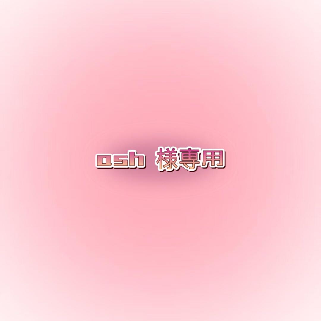 アクセサリー ash l